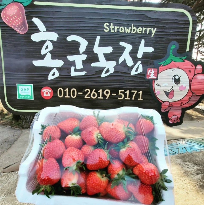 홍군농장 이미지