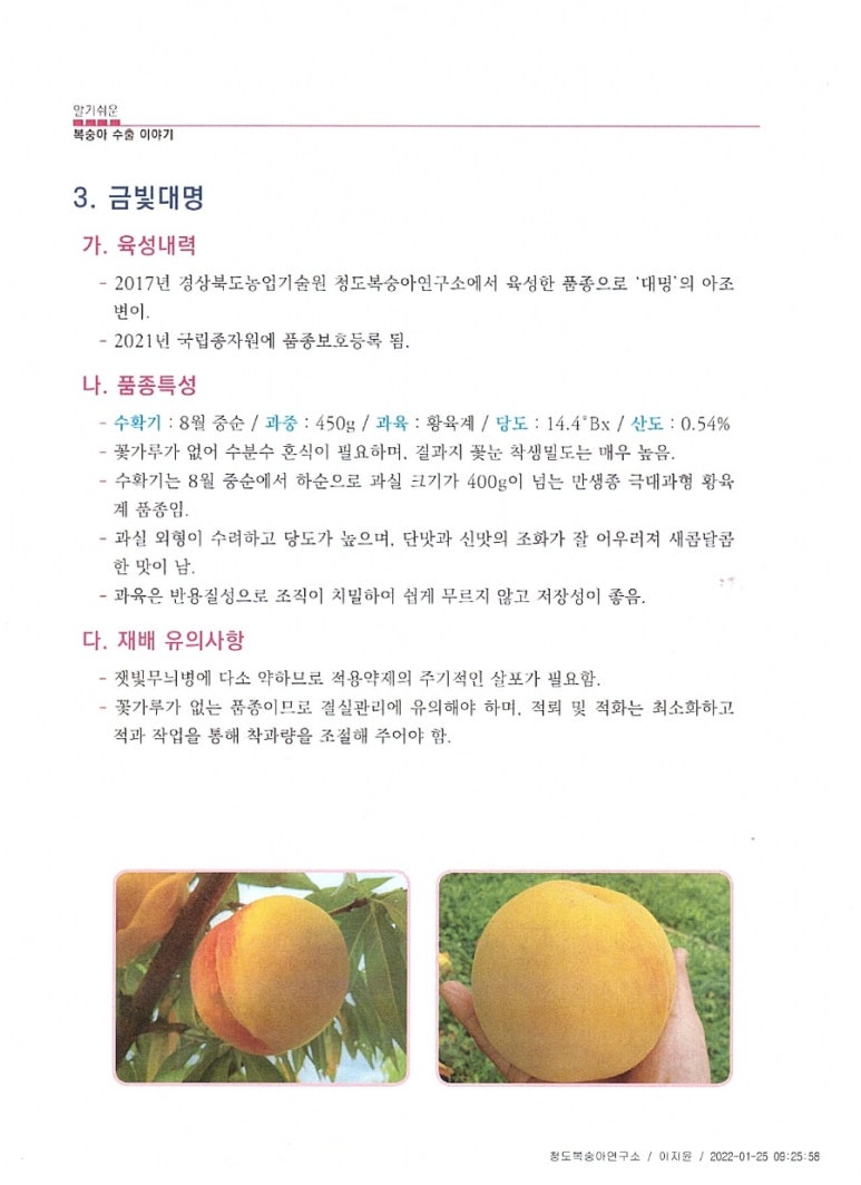 대명농원 이미지