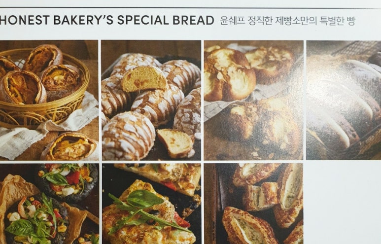 브래드윤 이미지