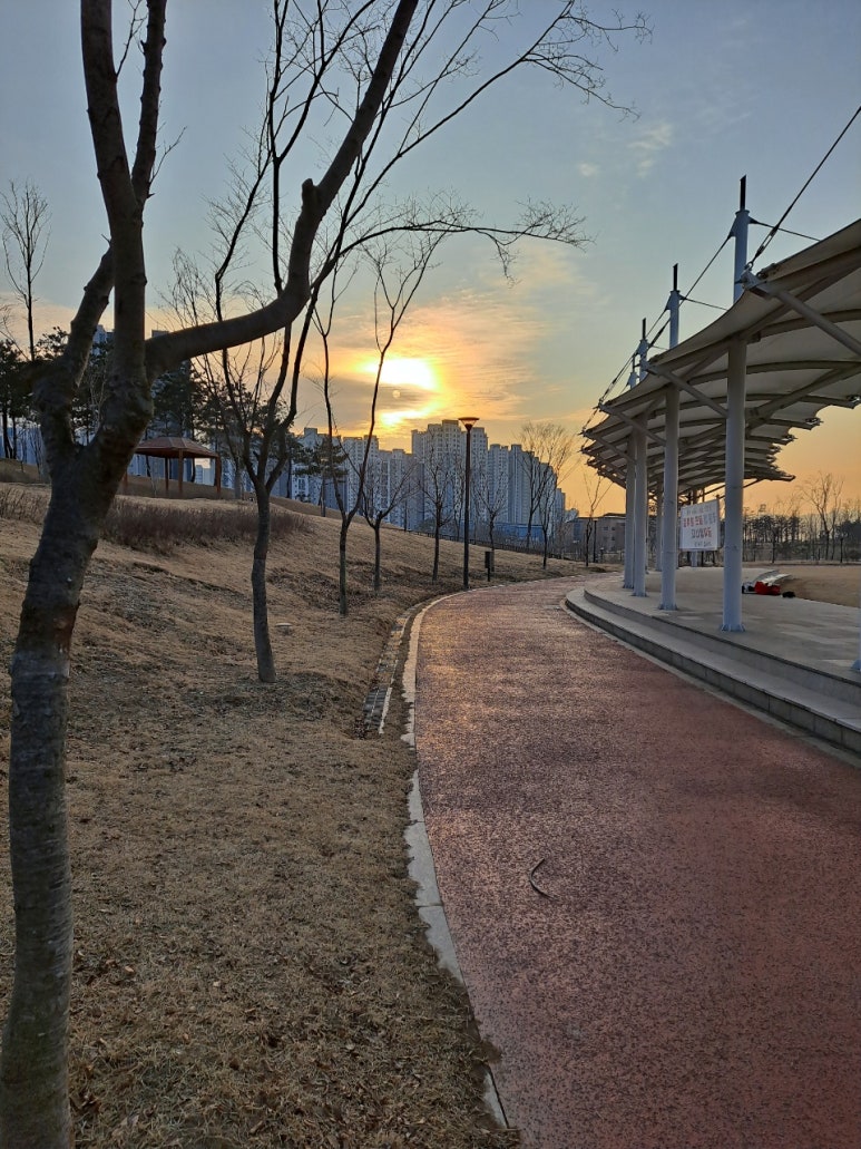 젊은오토카센타 이미지