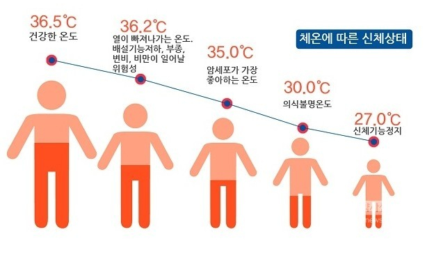 쑥뜸천하 이미지