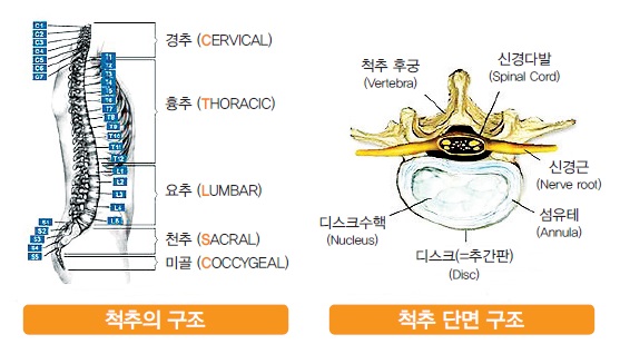 려한의원 이미지