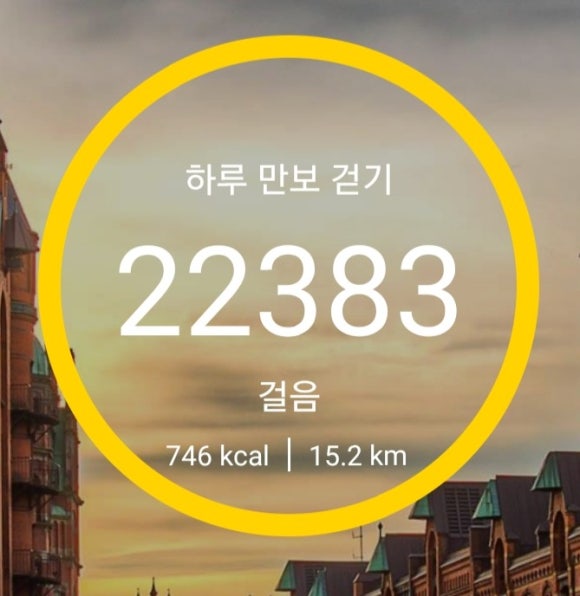 손오공청과 이미지
