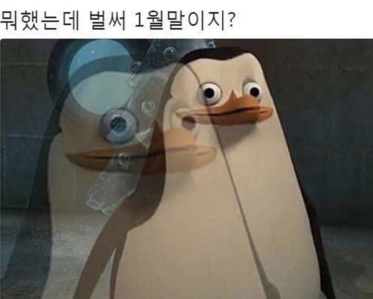 디어디테 이미지