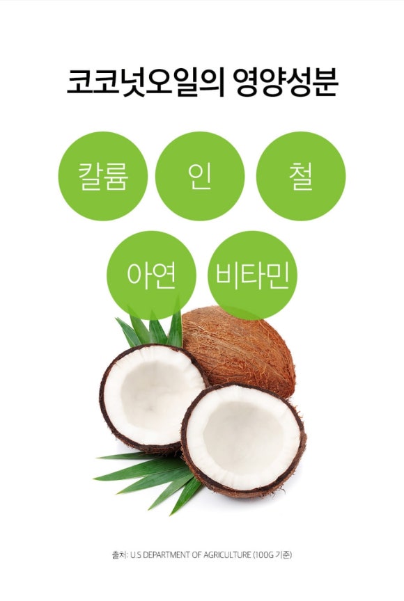 코코엘 이미지