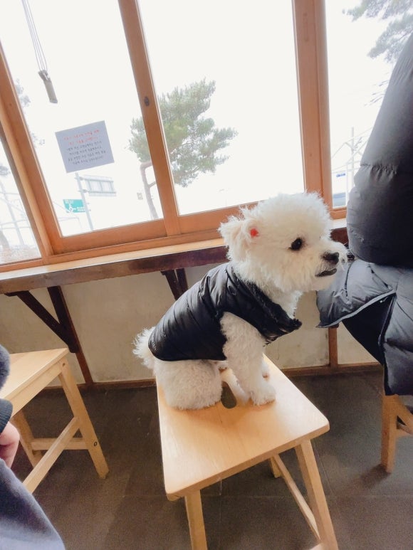 곰소젓갈도매시장 이미지