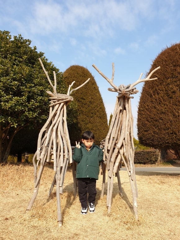 영산산림 이미지