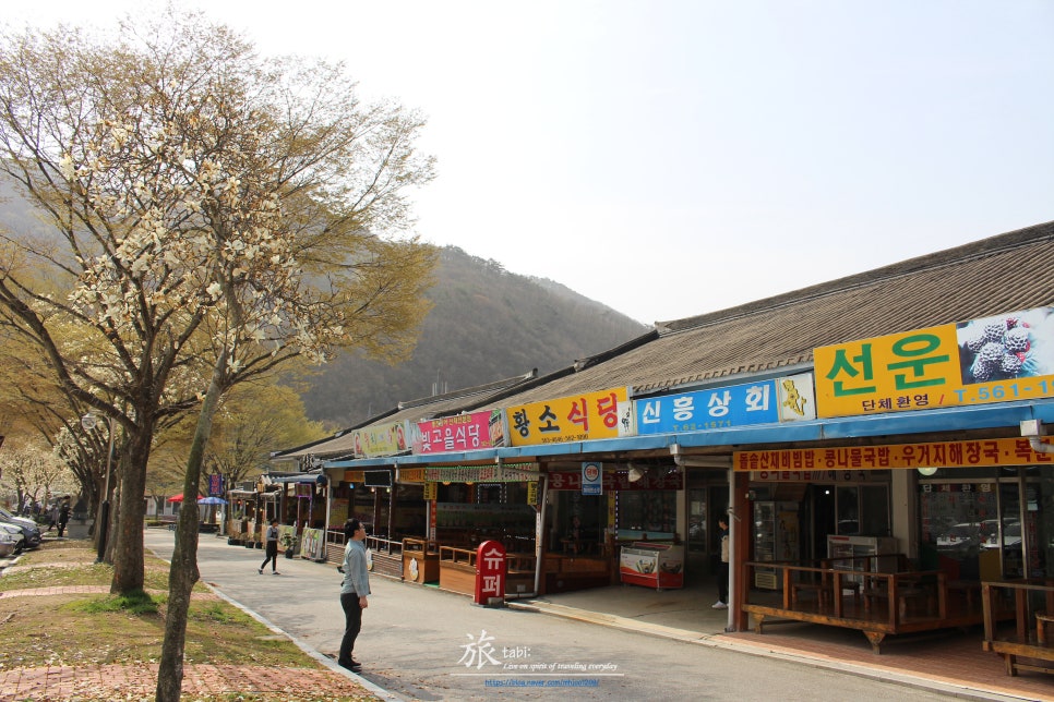 선운식당 이미지