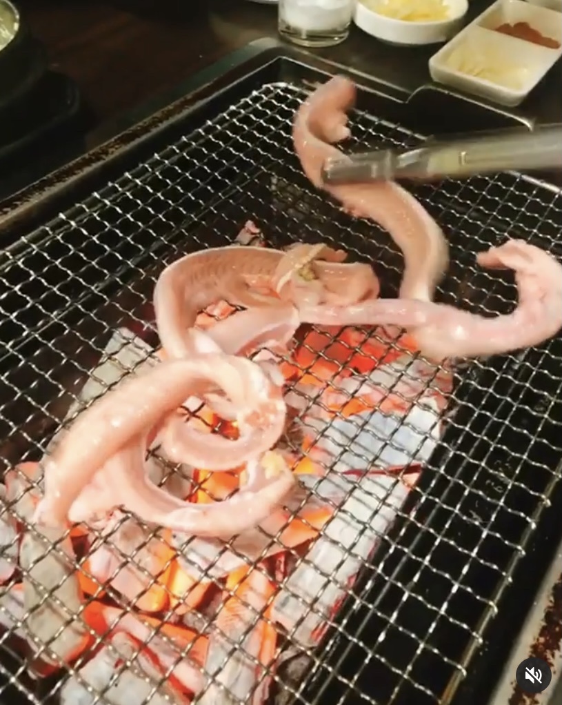 바다산꼼장어 이미지