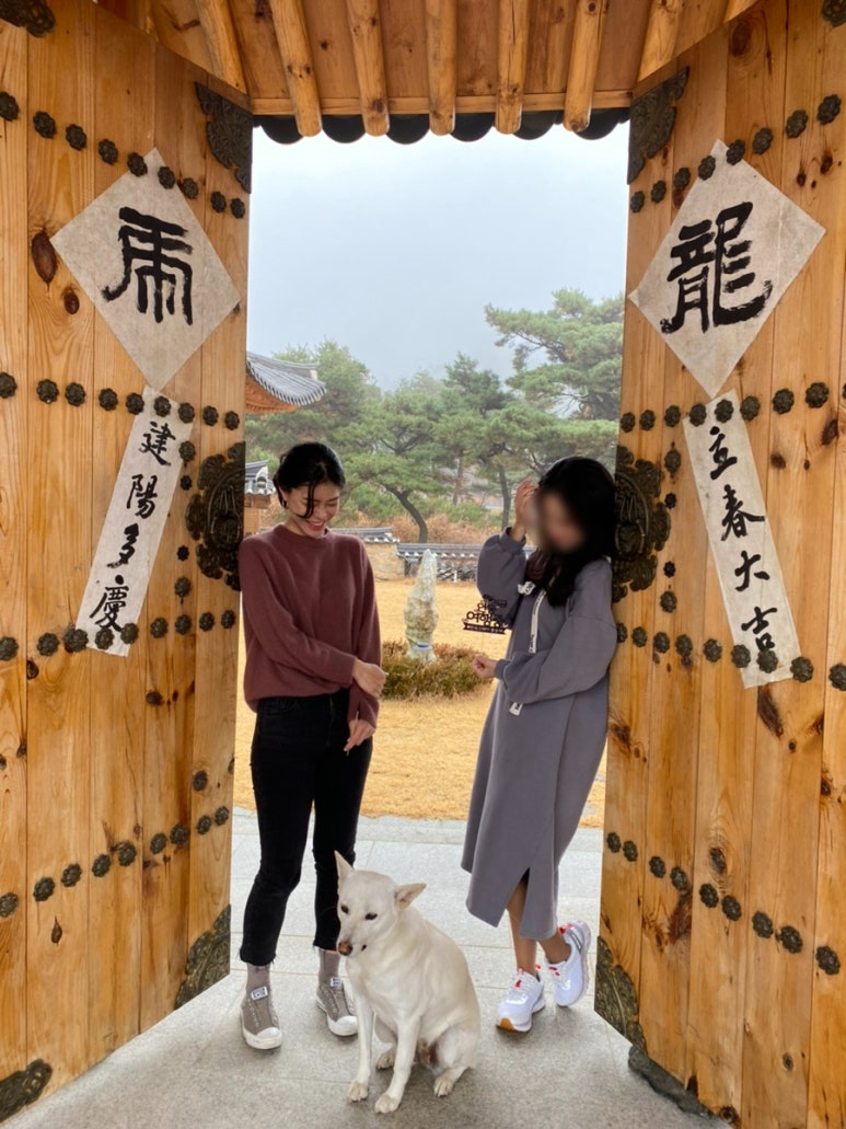 풍송재 이미지