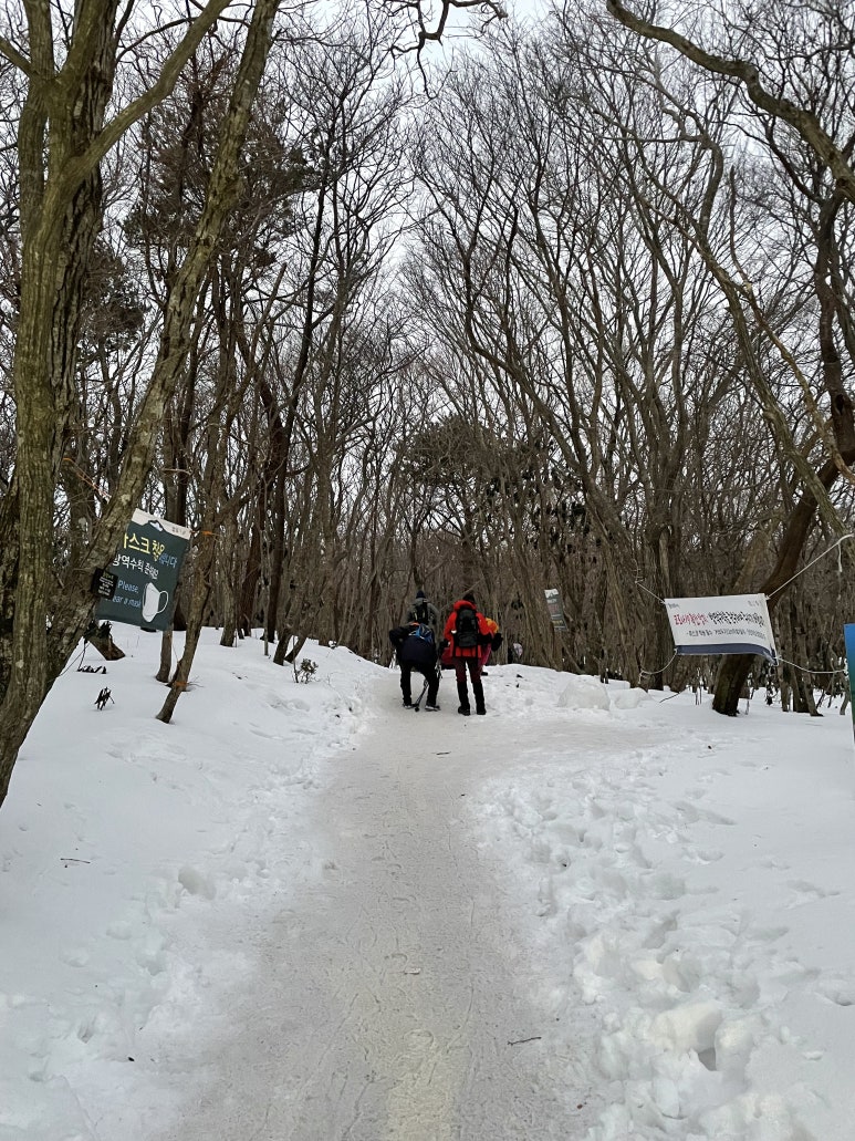 레깅스씽씽 이미지