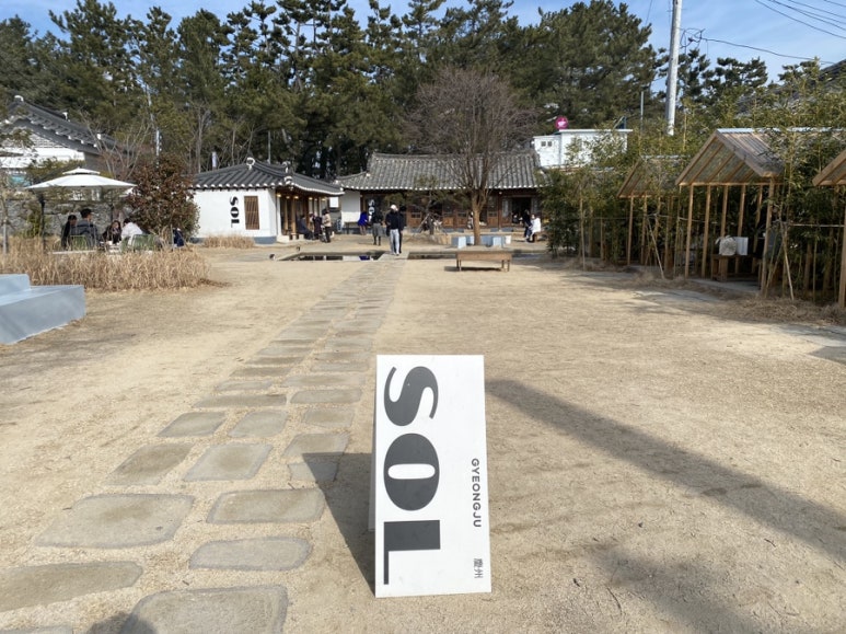 솔(sol) 이미지