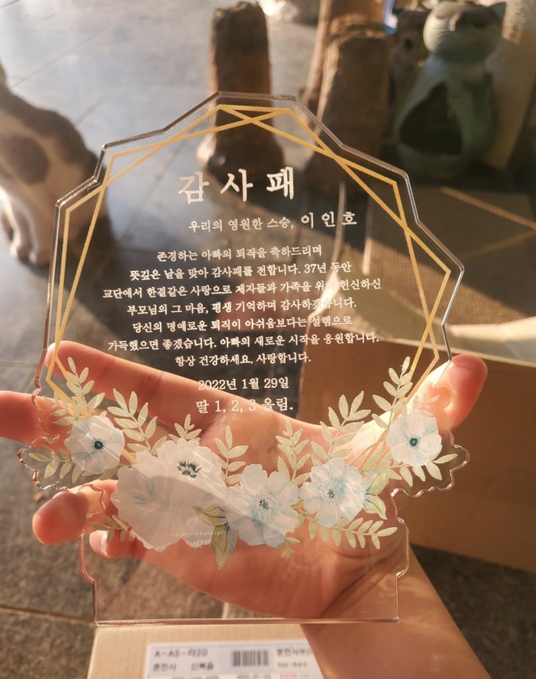 볼링불링 이미지