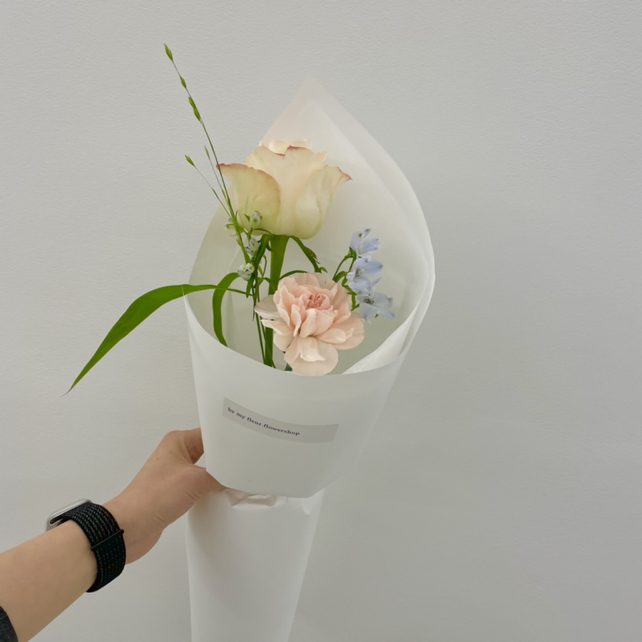 바이마이플레르 이미지