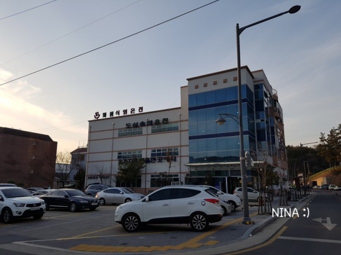 해바라기화원 이미지