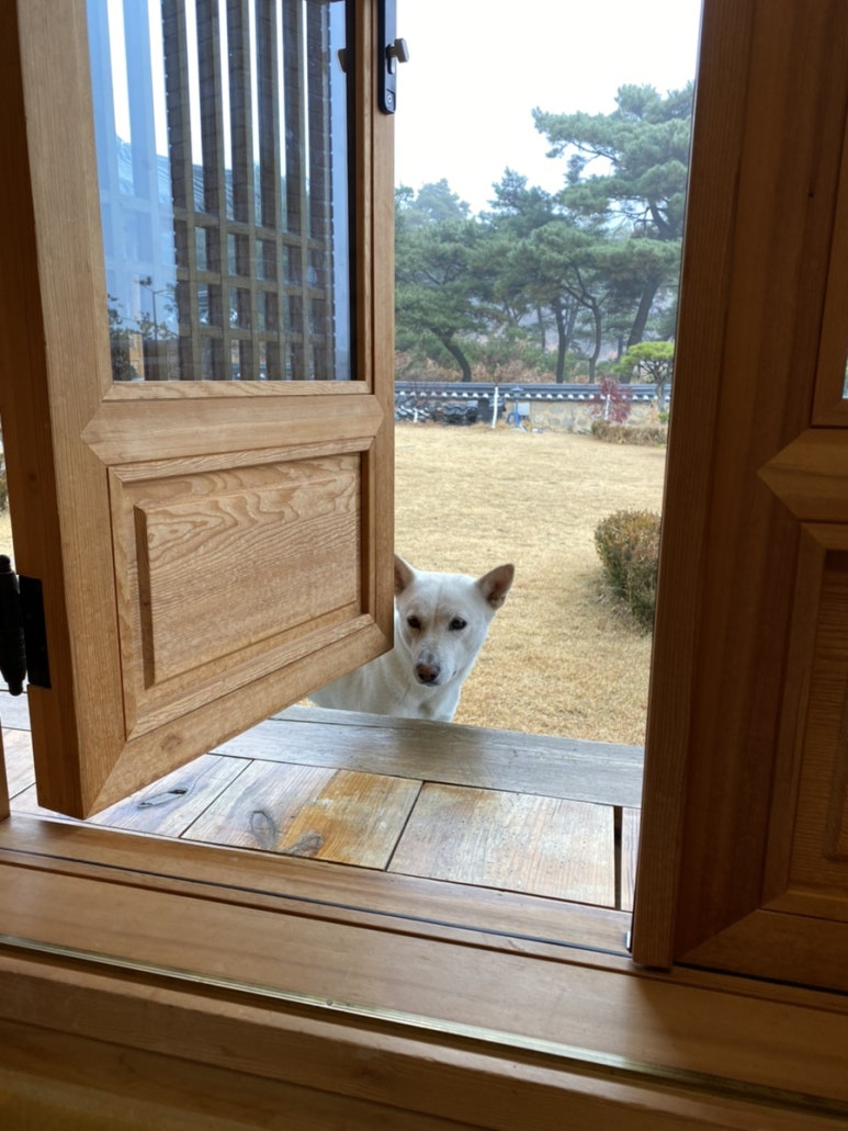 풍송재 이미지