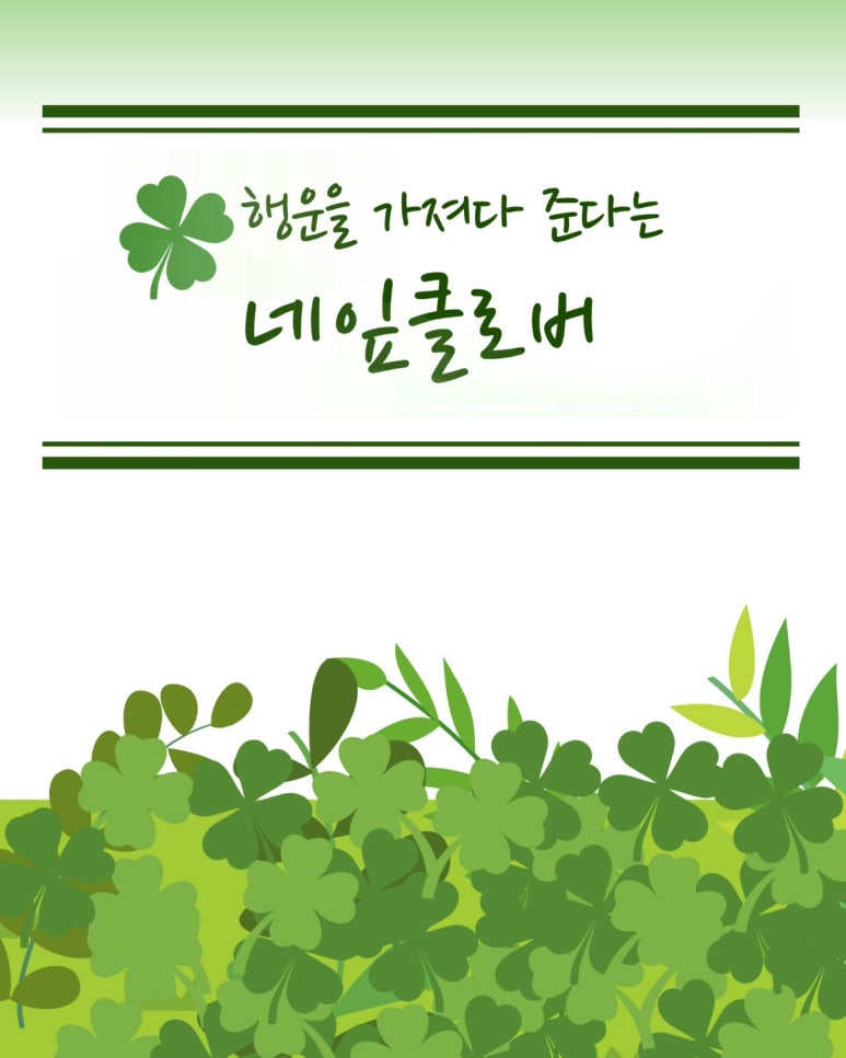 네잎클로버음악학원 이미지