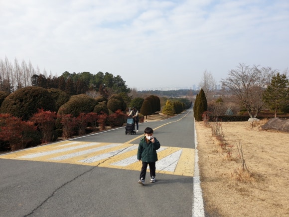 영산산림 이미지