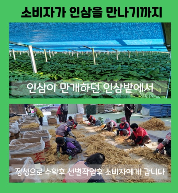 풍기주유소 이미지
