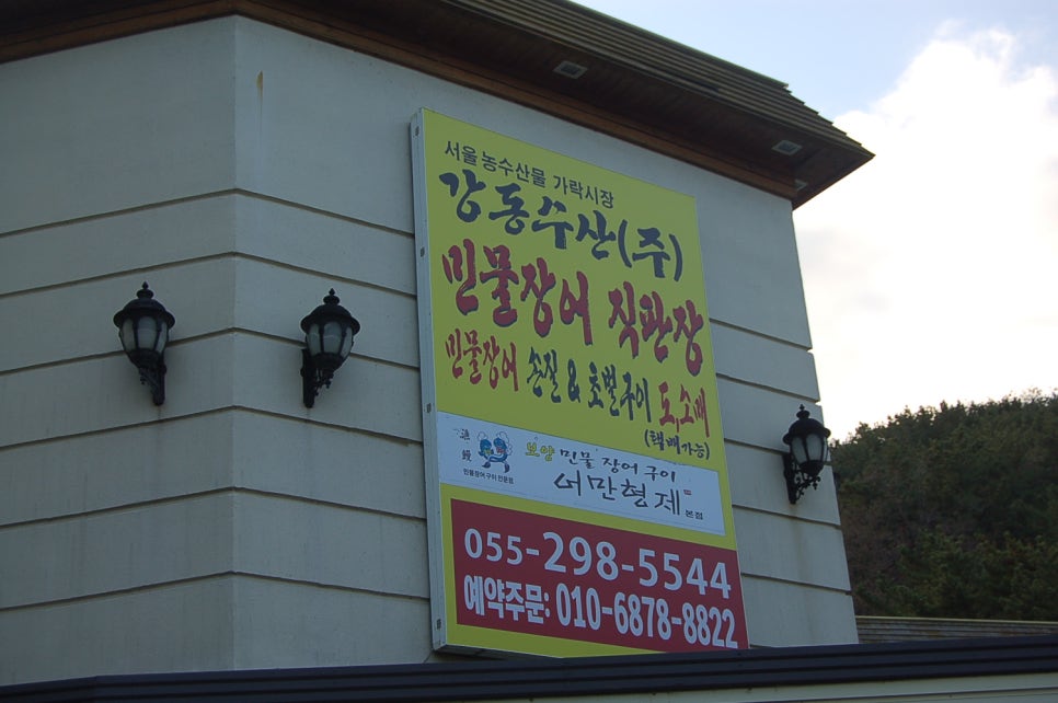 호반장어 이미지