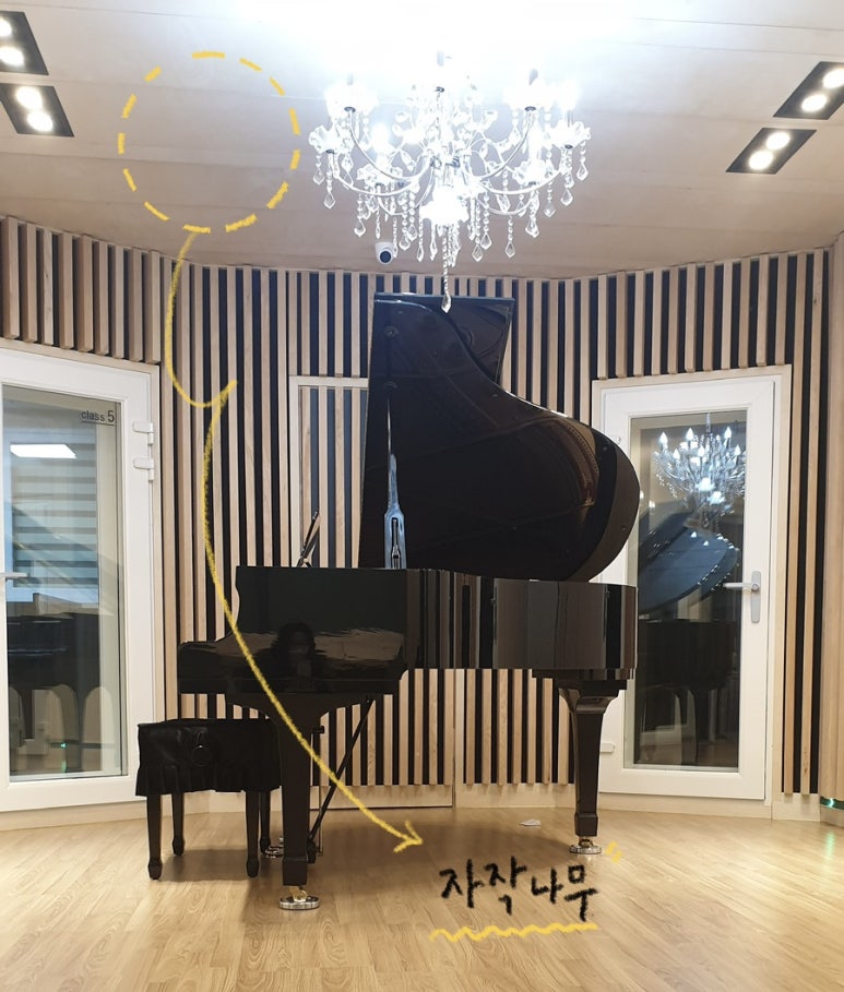 연세엘로드음악학원 이미지