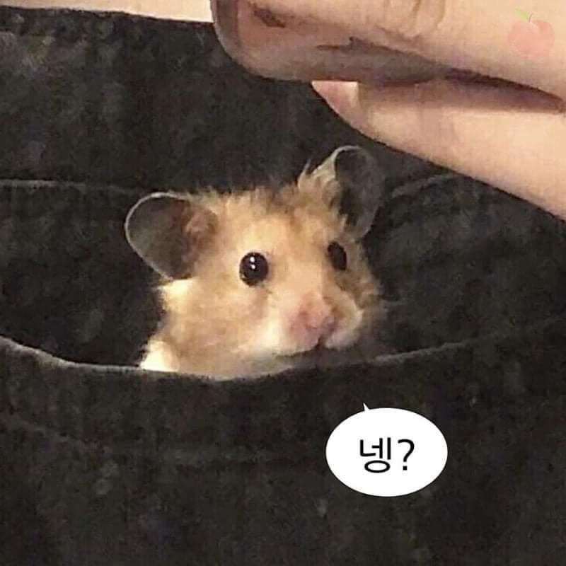 안녕;폰 이미지
