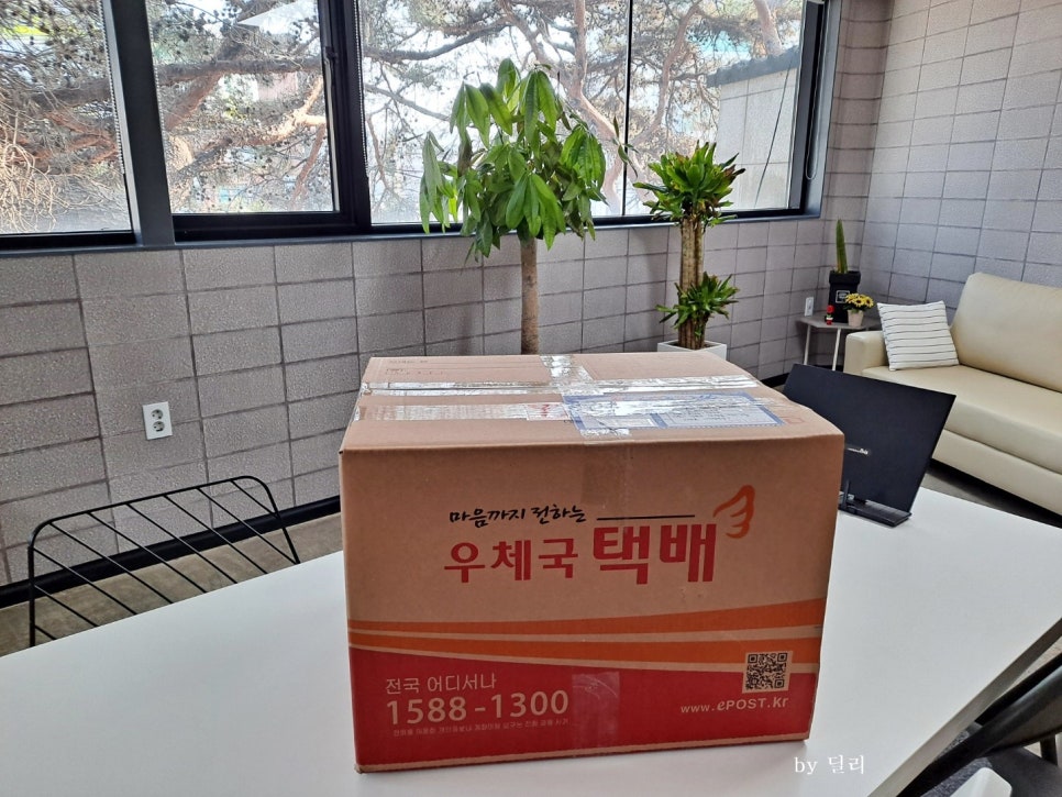 달빛과일 이미지