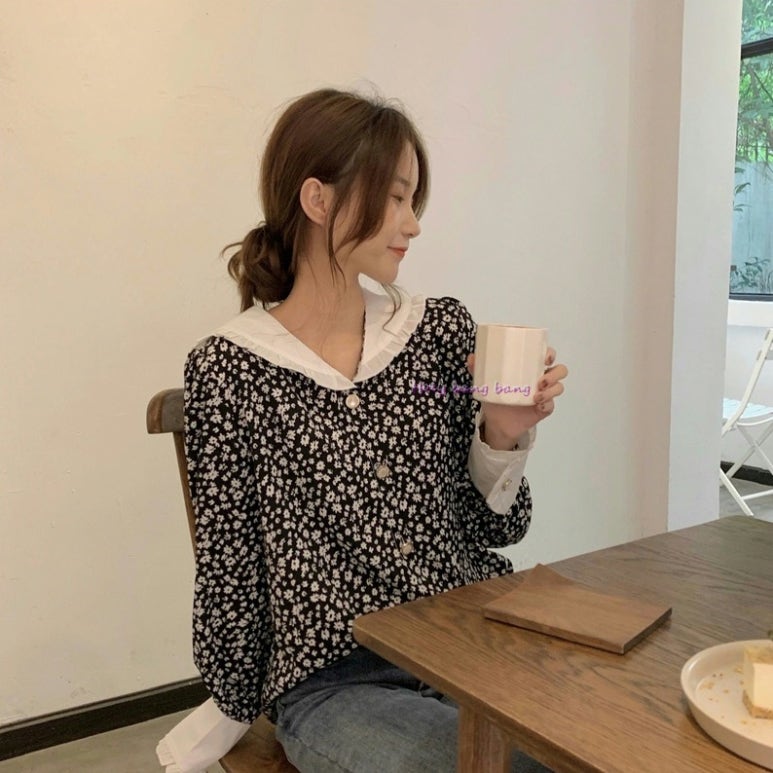 카라플라워 이미지