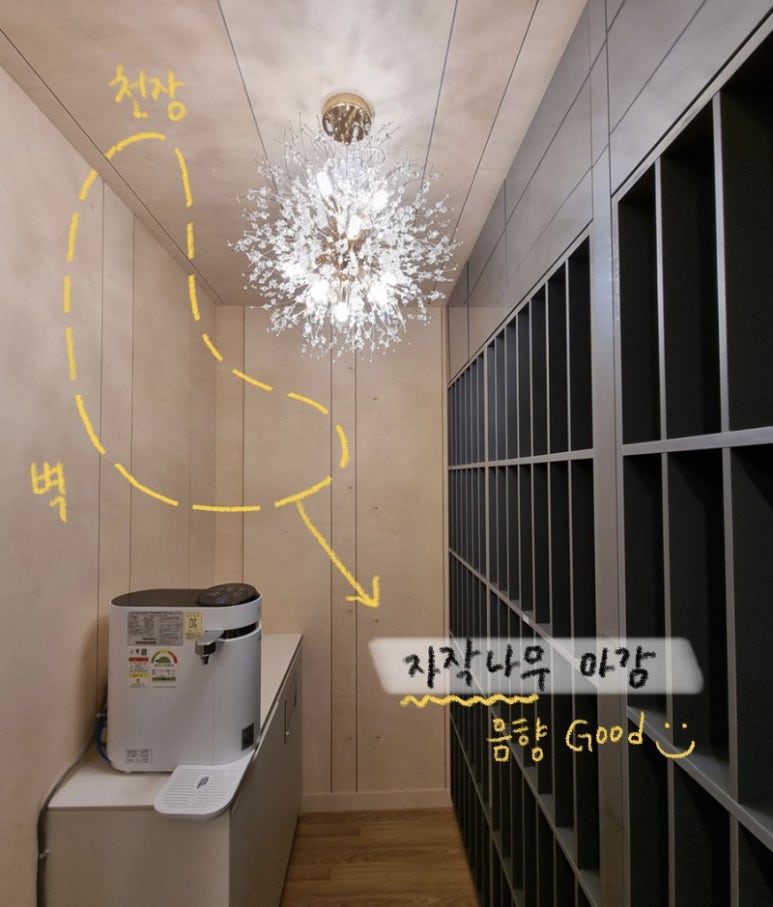 연세엘로드음악학원 이미지