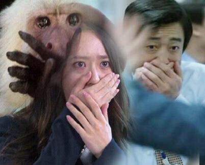와려 이미지