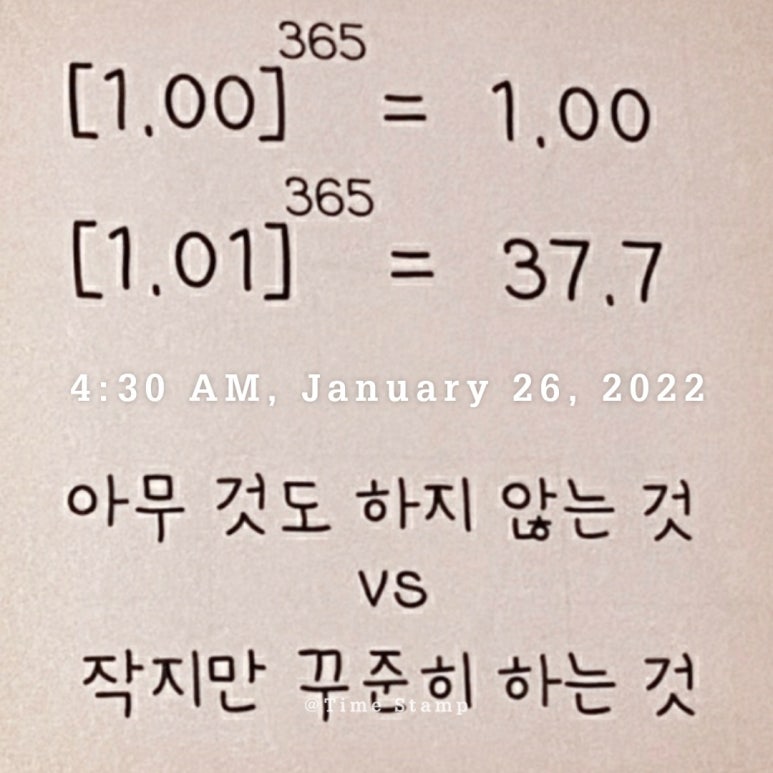슈닝 이미지