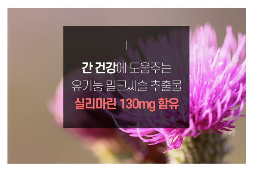 (주)디바인바이오 이미지