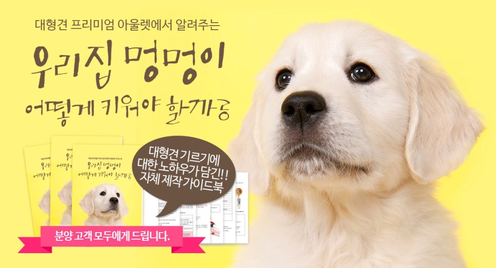 알아 이미지