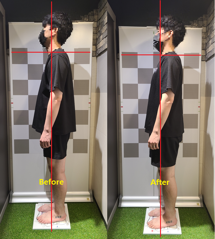 베이스오브바디 이미지