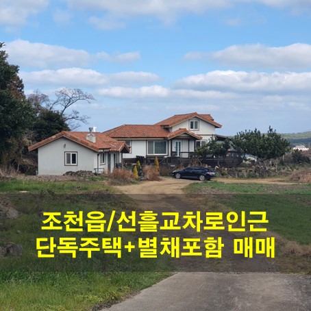 선흘별채 이미지