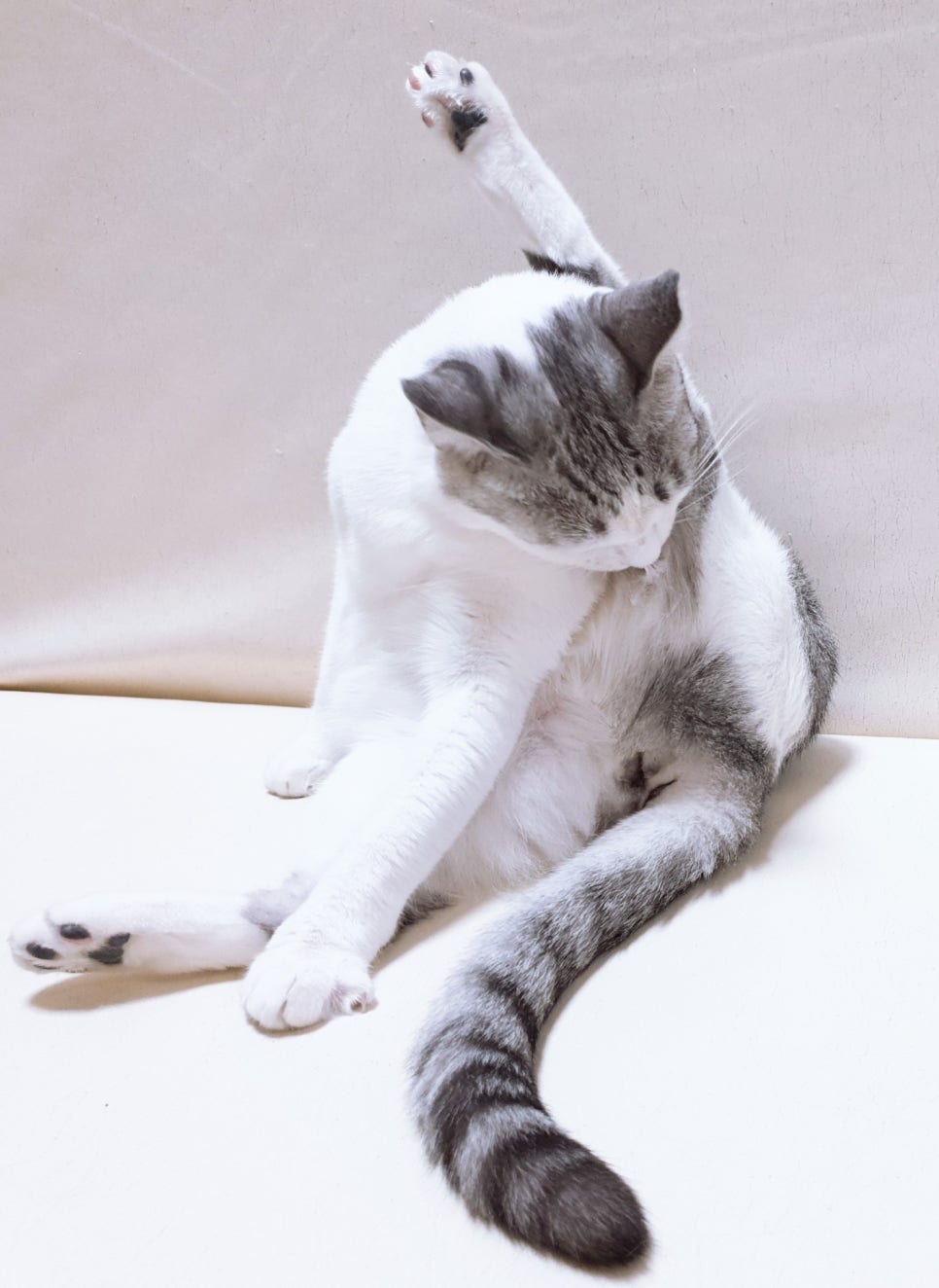 이쁘니헤어 이미지