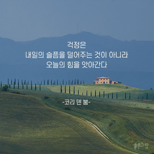 코리 이미지