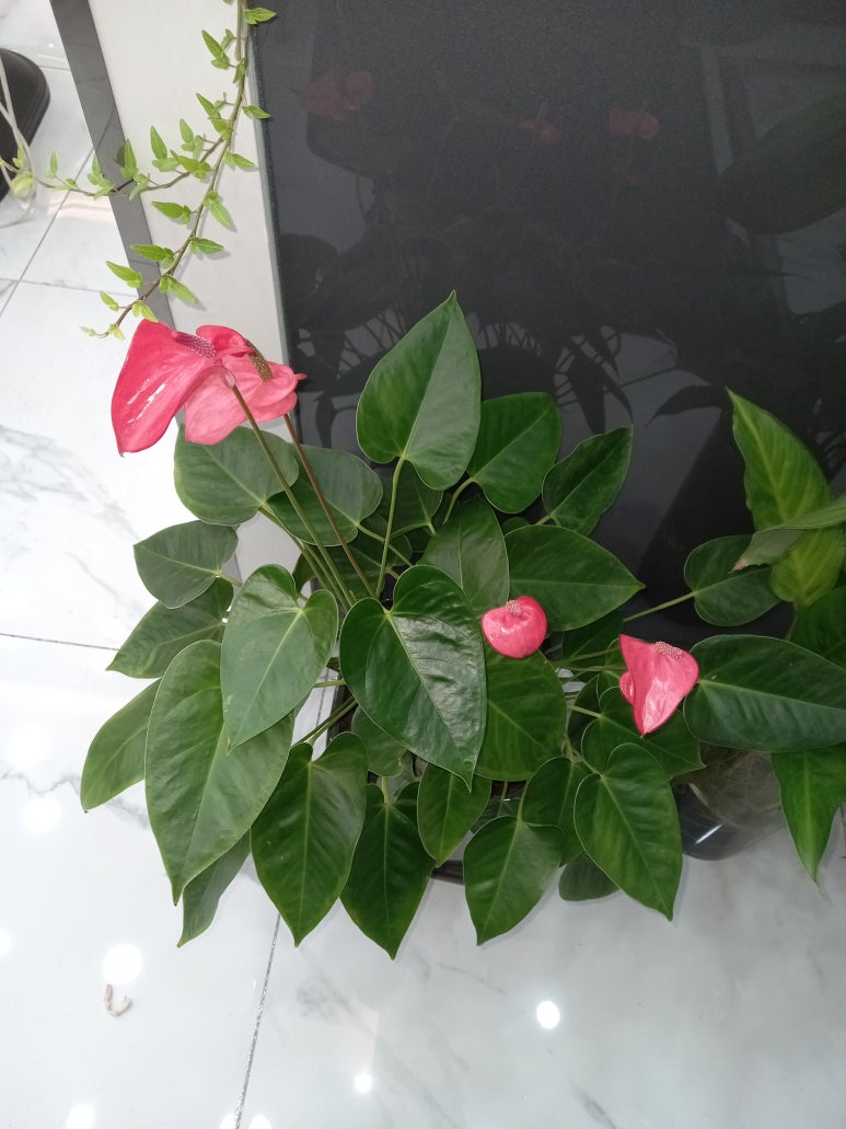 다바꿔미용실 이미지