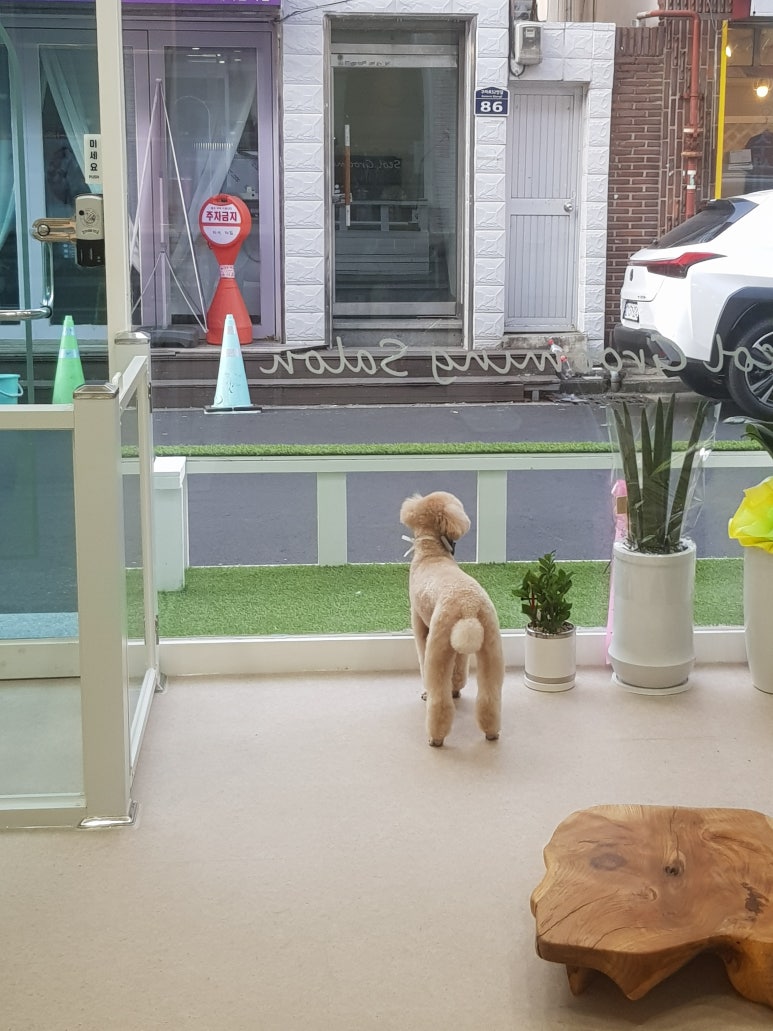 춤추는가위미용실 이미지
