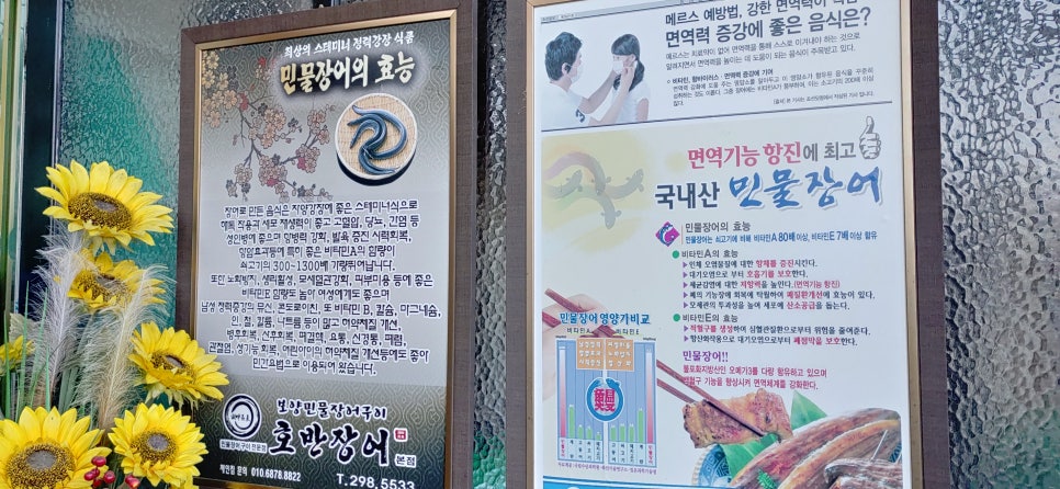 호반장어 이미지