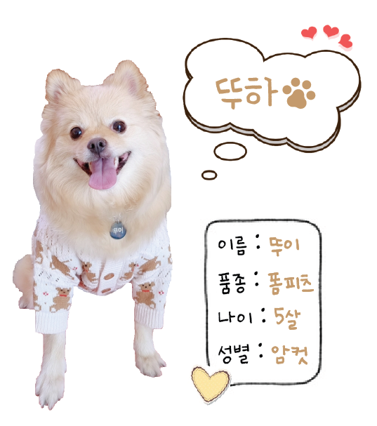 블럭팡팡 구미점 이미지