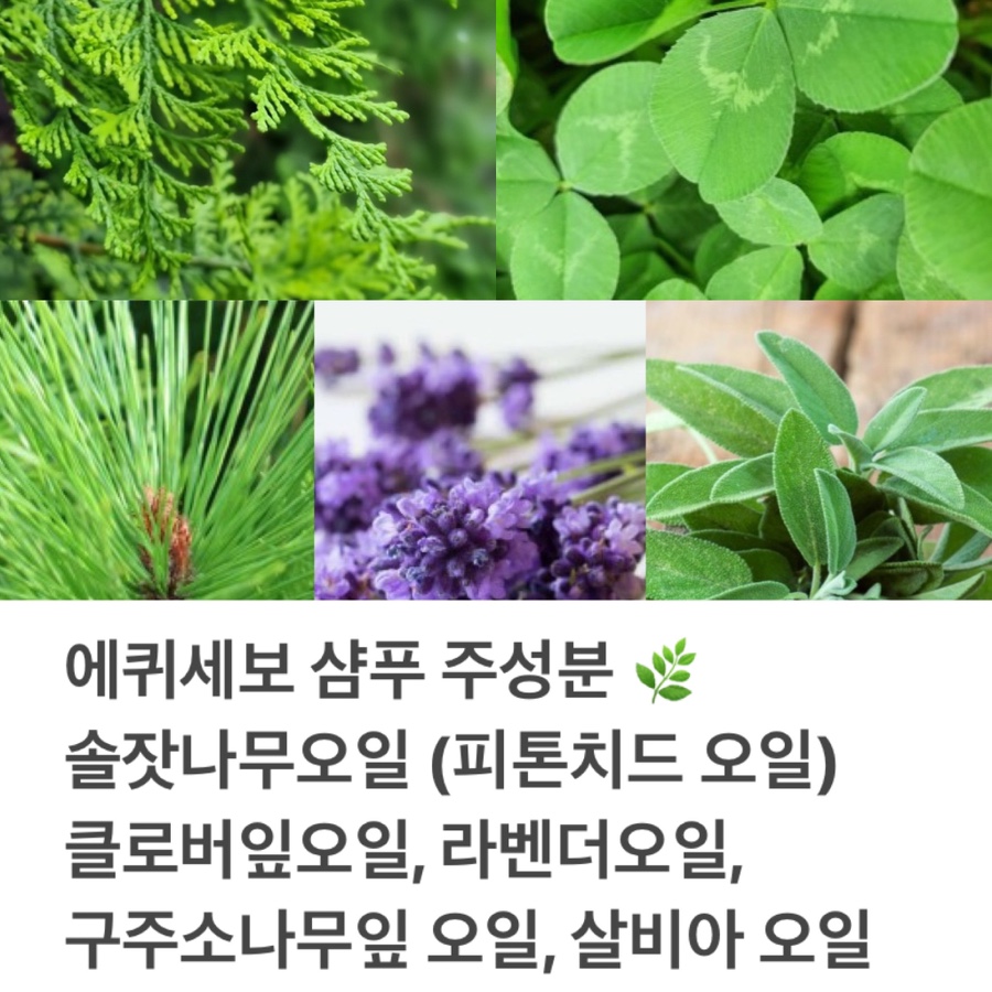 지성떡 이미지