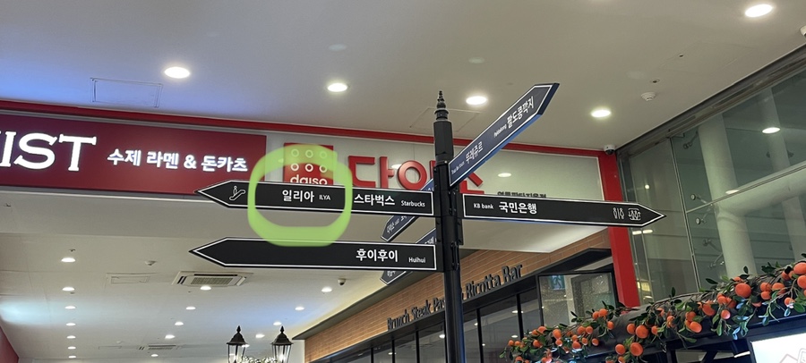 일리아플라워 이미지