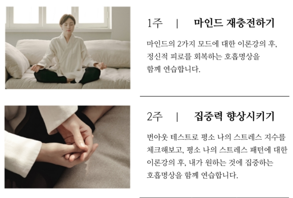 마인드그로우 이미지