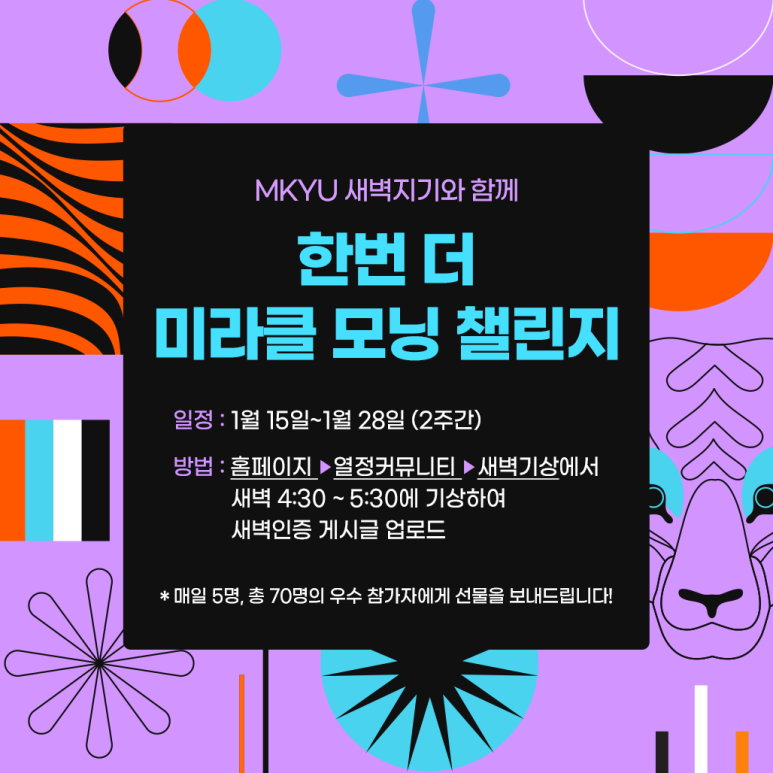 더미라클 이미지