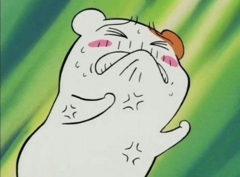 포토이즘박스한남점 이미지