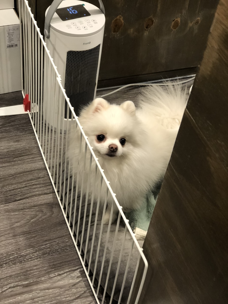 바리스타Jin 이미지