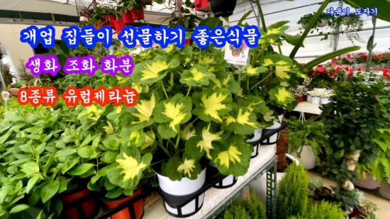 청산화원 이미지