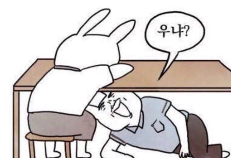 메이쥬 이미지