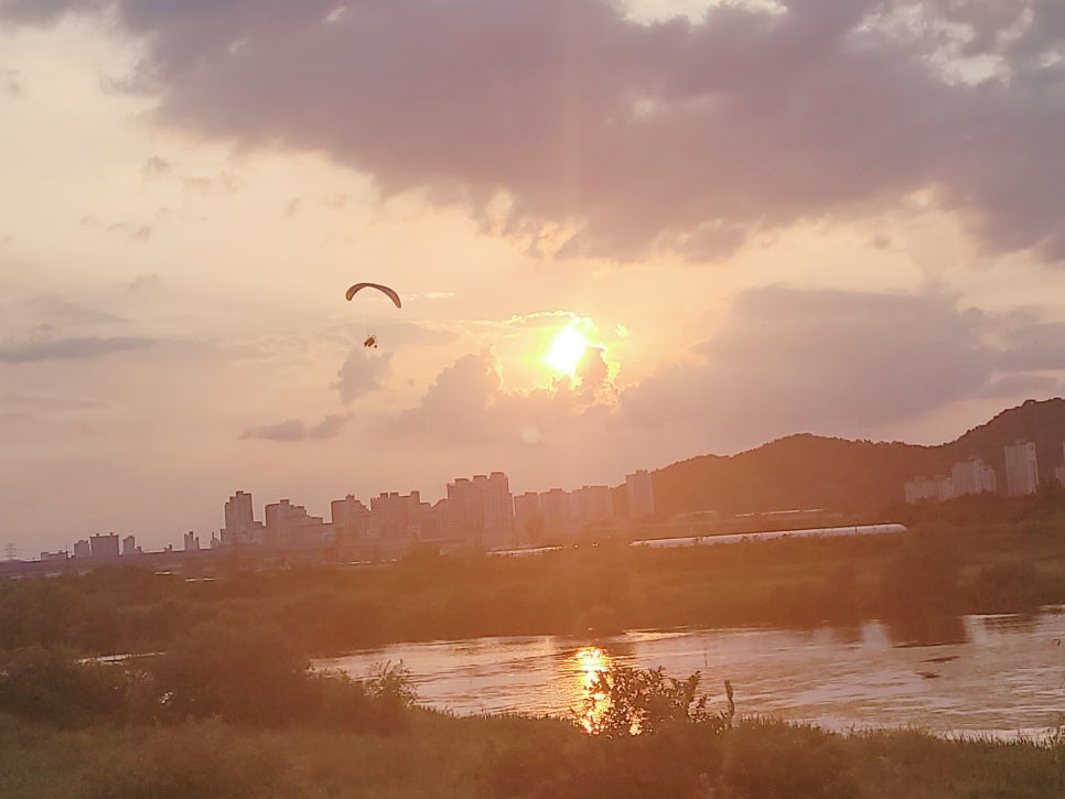 아트숲연수원아트숲연수원아리카페 이미지